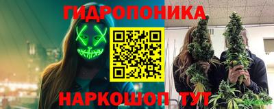 apvp Нягань