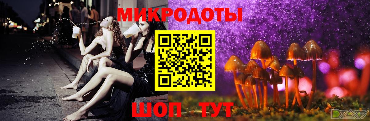 Псилоцибиновые грибы Psilocybe Туапсе